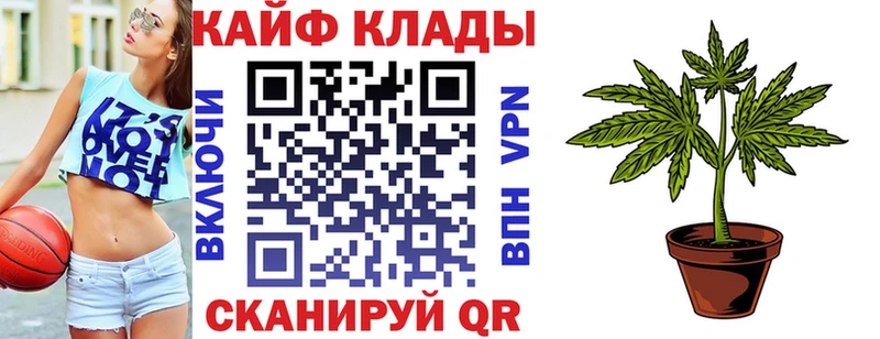 Где продают наркотики Кингисепп A PVP  Мефедрон  Галлюциногенные грибы  Конопля 