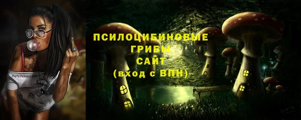 бошки Алзамай