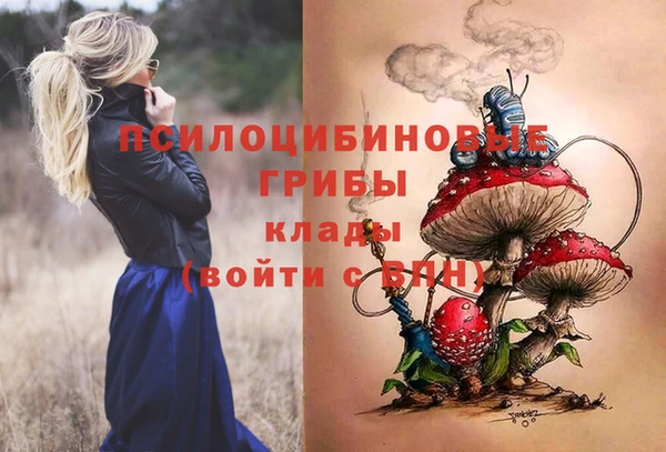 бошки Алзамай