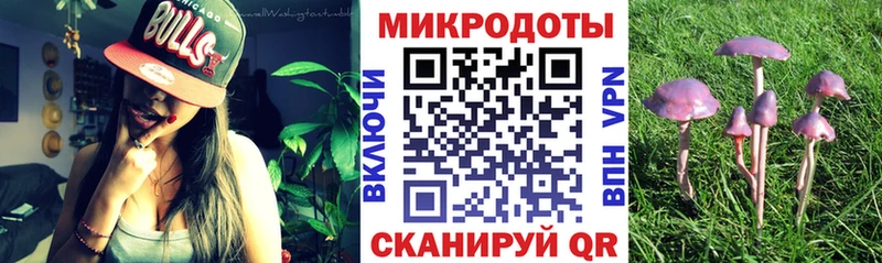 Галлюциногенные грибы Psilocybine cubensis  Кингисепп 